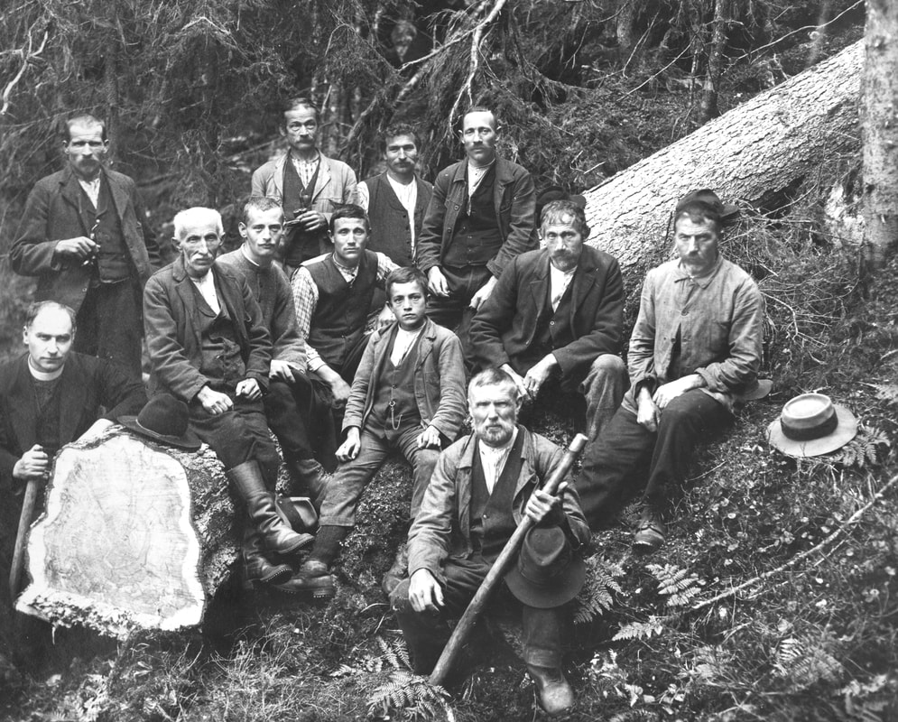 Holzfäller-Arbeiten in Obersaxen für die Kirchenbänke der Herz-Jesu-Kirche Wiedikon.